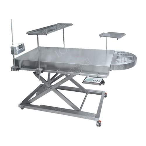 Veterinary examination table - TAV044 - Lory Progetti Veterinari srl - orthopedic / for animals / electric
