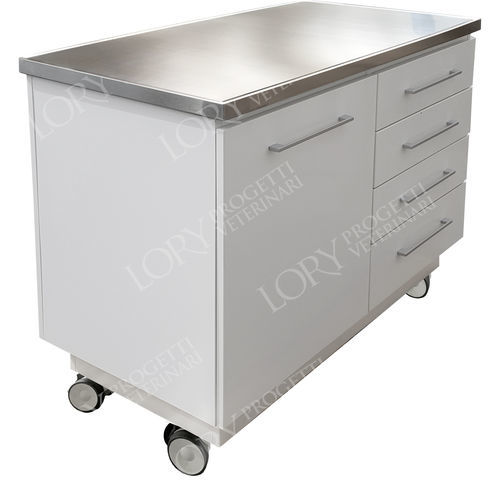 Veterinary examination table - Oslo - Lory Progetti Veterinari srl - for animals / fixed-height / on casters