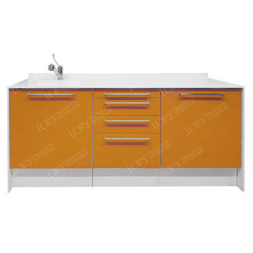 Veterinary clinic cabinet - MO040 - Lory Progetti Veterinari srl - with drawer / with sink / with door