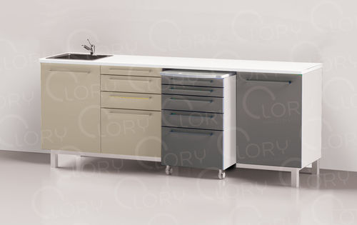 Veterinary clinic worktop - COMP004/D - Lory Progetti Veterinari srl - with drawer / with storage unit / with sink