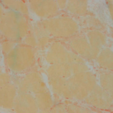 Staining solution reagent - 30 – 30122LY - BIO-OPTICA Milano - for histology