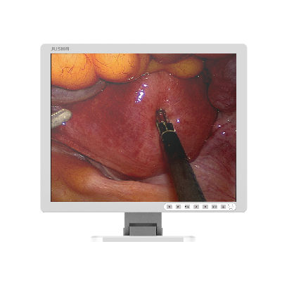 Medical display - E190AG - Nanjing Jusha Display Technology - surgical / operating room / endoscopy