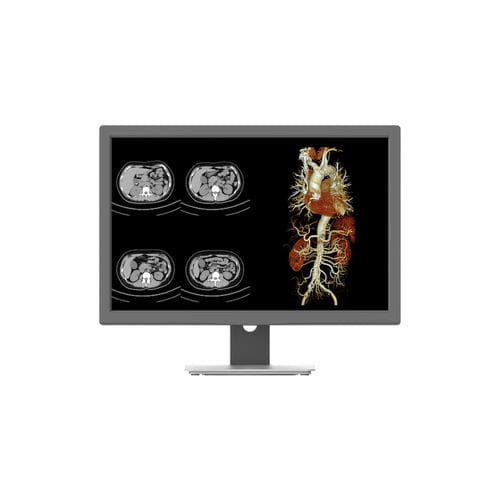 Medical display - CR240G - Nanjing Jusha Display Technology - diagnostic / high-definition / 1920 x 1200