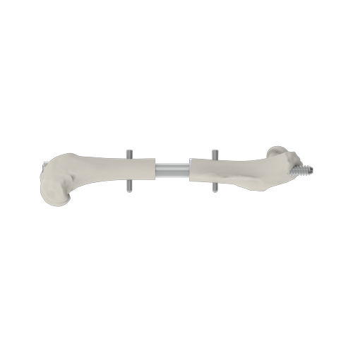 Femur veterinary intramedullary nail - MouseNail - RISystem AG - for mice