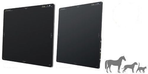 Veterinary radiography flat panel detector - IMED 3543MX - 4343MX - Imedsys - for multipurpose radiography / portable / wireless