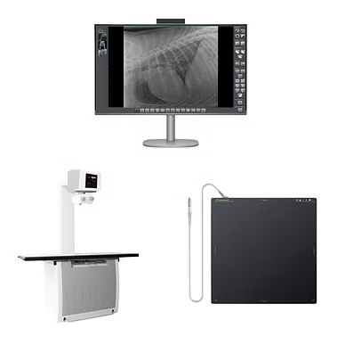 Digital veterinary X-ray system - IMEDcani - Imedsys