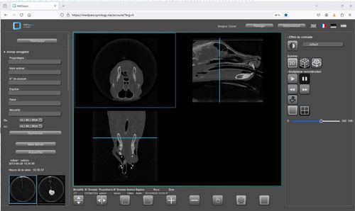 Veterinary software - IMEDpacs - Imedsys - visualization / 3D / 2D