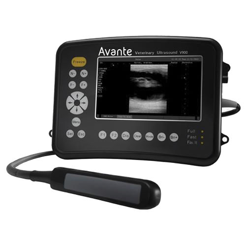 Portable veterinary ultrasound system - V900 - DRE Veterinary - multipurpose / for equines / B/W
