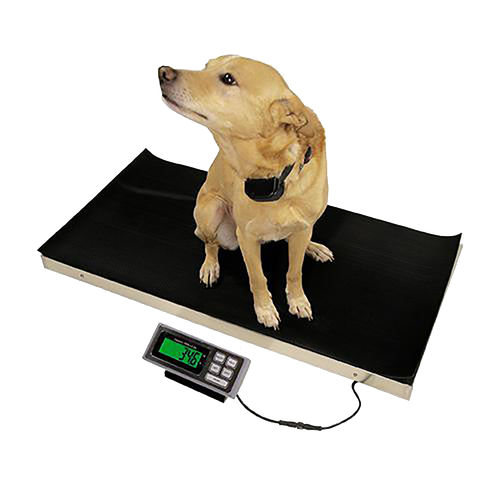 Mechanical veterinary weighing scale - 700  - DRE Veterinary - platform / with separate indicator / USB
