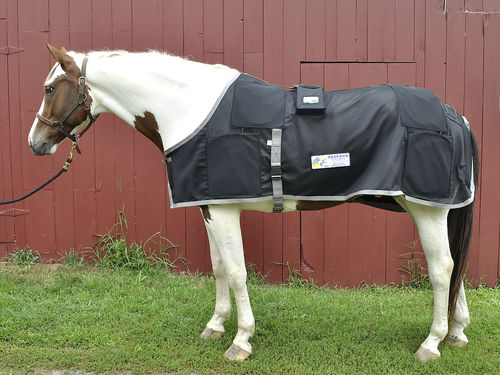 Equine Magnetotherapy unit - Bio-Pulse™ Sentry  - Respond Systems - wearable
