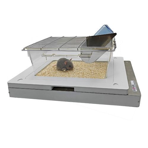 Activity monitor for the analysis of circadian rhythm - BIO-ACTIV2-M - Bioseb - for animal research / for preclinical research / for mice