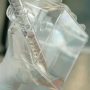 Serum reagent - Cellartis® 3i mES/iPSC  - TAKARA - cytokine / standard / for cell culture