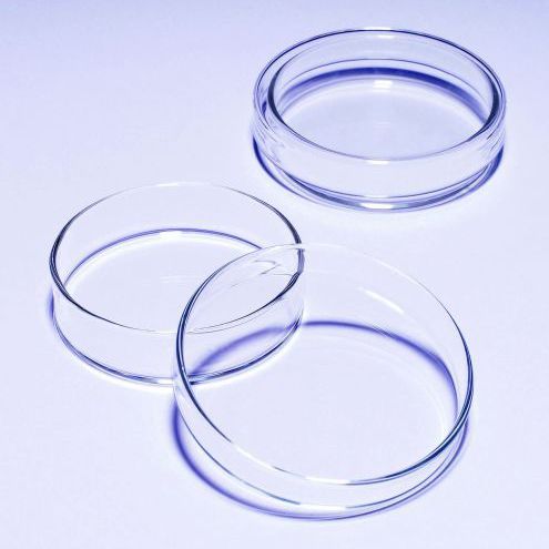 Borosilicate glass Petri dish - 1480 series - SciLabware Limited