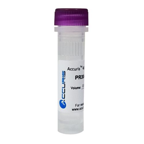 DNTP solution reagent - PR3 series - BENCHMARK SCIENTIFIC - protease / for PCR
