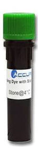 Solution reagent - E4500 series - BENCHMARK SCIENTIFIC - stain / for DNA analysis