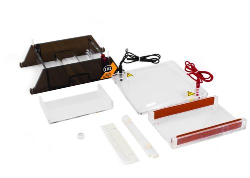 PCR electrophoresis system - DOUBLE WIDE MINI GEL-O - IBI Scientific - benchtop / compact