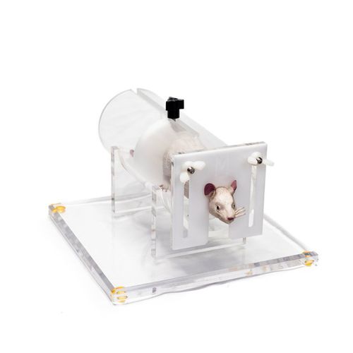 Animal research restrainer - RR-300 - IBI Scientific