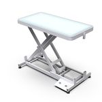 lifting grooming table