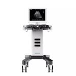 on-platform ultrasound system