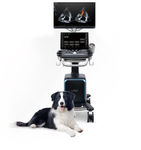 on-platform veterinary ultrasound system