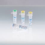 reverse transcriptase reagent