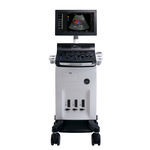 on-platform ultrasound system