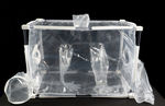 single-use isolator