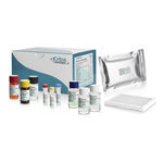 Enzyme Immunoassay Test Kit, Enzyme Immunoassay Assay Kit - All Medical ...