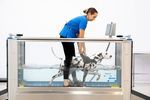 hydrotherapy veterinary treadmill