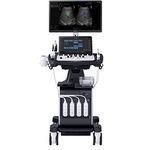 on-platform ultrasound system
