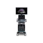 on-platform ultrasound system