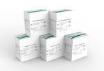 pregnancy test kit