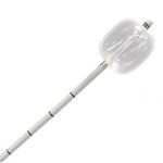 biliary catheter