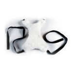 chair pelvic support
