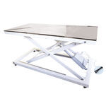 Veterinary examination table, Veterinary treatment table - All medical ...