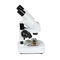 optical stereo microscope44137Celestron