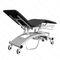 veterinary examination table2241DSilverfox Corporation Limited