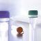 veterinary laboratory reagentvirotype Influenza A Positive ControlINDICAL BIOSCIENCE GmbH