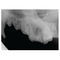 digital veterinary X-ray systemSignalSMILE&reg;SignalPET