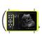 Hand-held veterinary ultrasound system - Y6-VET - DAEWI MEDICAL ...