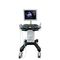 portable, with trolley ultrasound systemDW-750Dawei Medical
