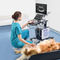 on-platform veterinary ultrasound systemVetus 50Shenzhen Mindray Animal Medical Technology Co., Ltd.