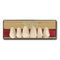 acrylic dental prosthesisAlfaluxNew Stetic S.A.