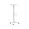 medical cartMED13-1Lumi Legend Corporation