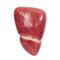 liver anatomical model10259713B Scientific  