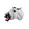 mouth anatomical model10265113B Scientific  