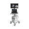 on-platform ultrasound systemMyLab&trade;E85 GTSEsaote