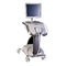 cervical cancer screening deviceLuViva&reg;Guided Therapeutics