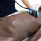 auscultation simulator91100Limbs & Things