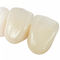 zirconia dental prosthesisPrimeIvoclar Vivadent